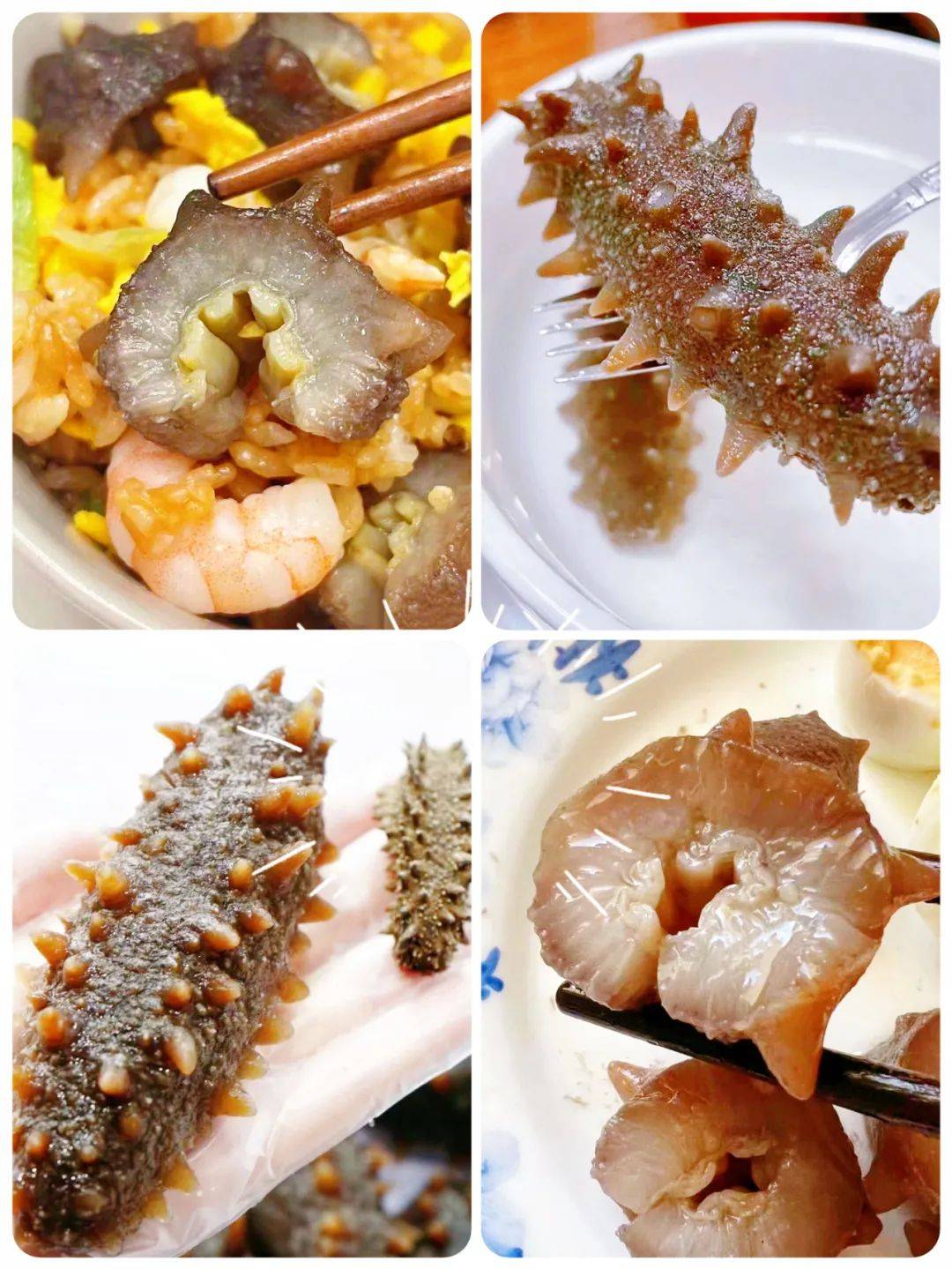 参刺粗,参筋白,参皮厚结果大家发现老周的海参都是身边的亲戚朋友支持