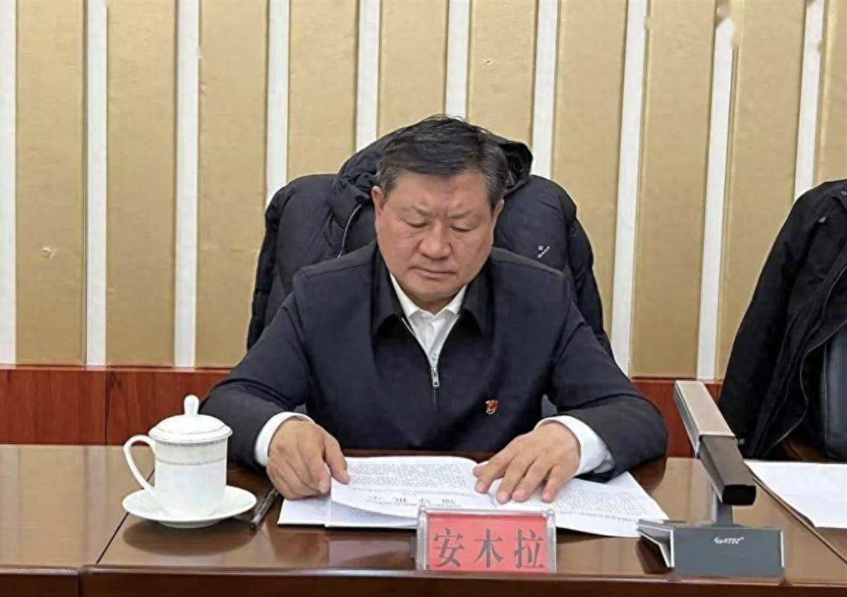 安木拉“落马”，曾因“酒后失德失范”被警方处罚