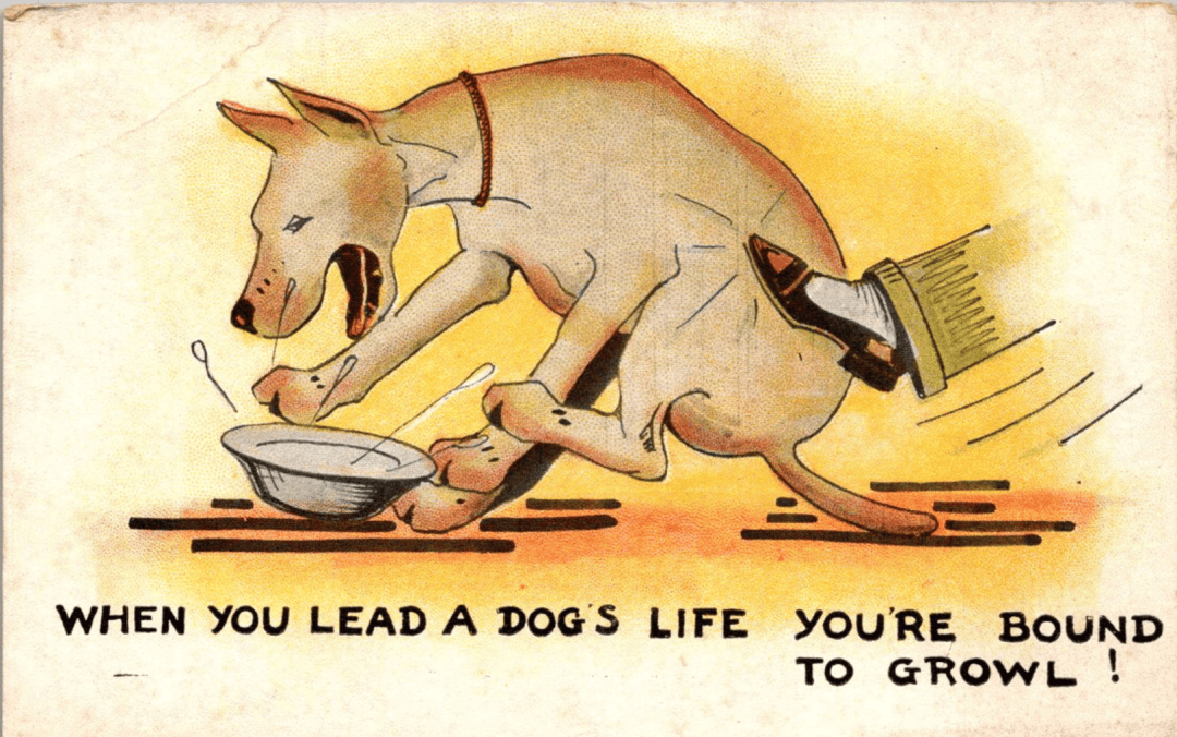 17 早读 | 斯蒂芬·吉利根博士:你越渴望过一种精