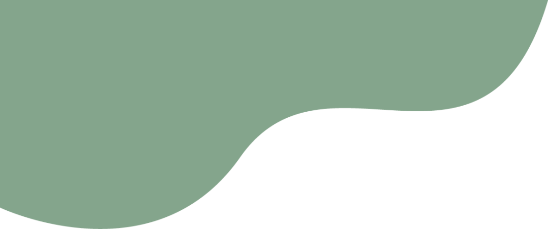 【梅郎创优】悦读悦动悦成长 润智润心乐启航——五(11)班的创优故事