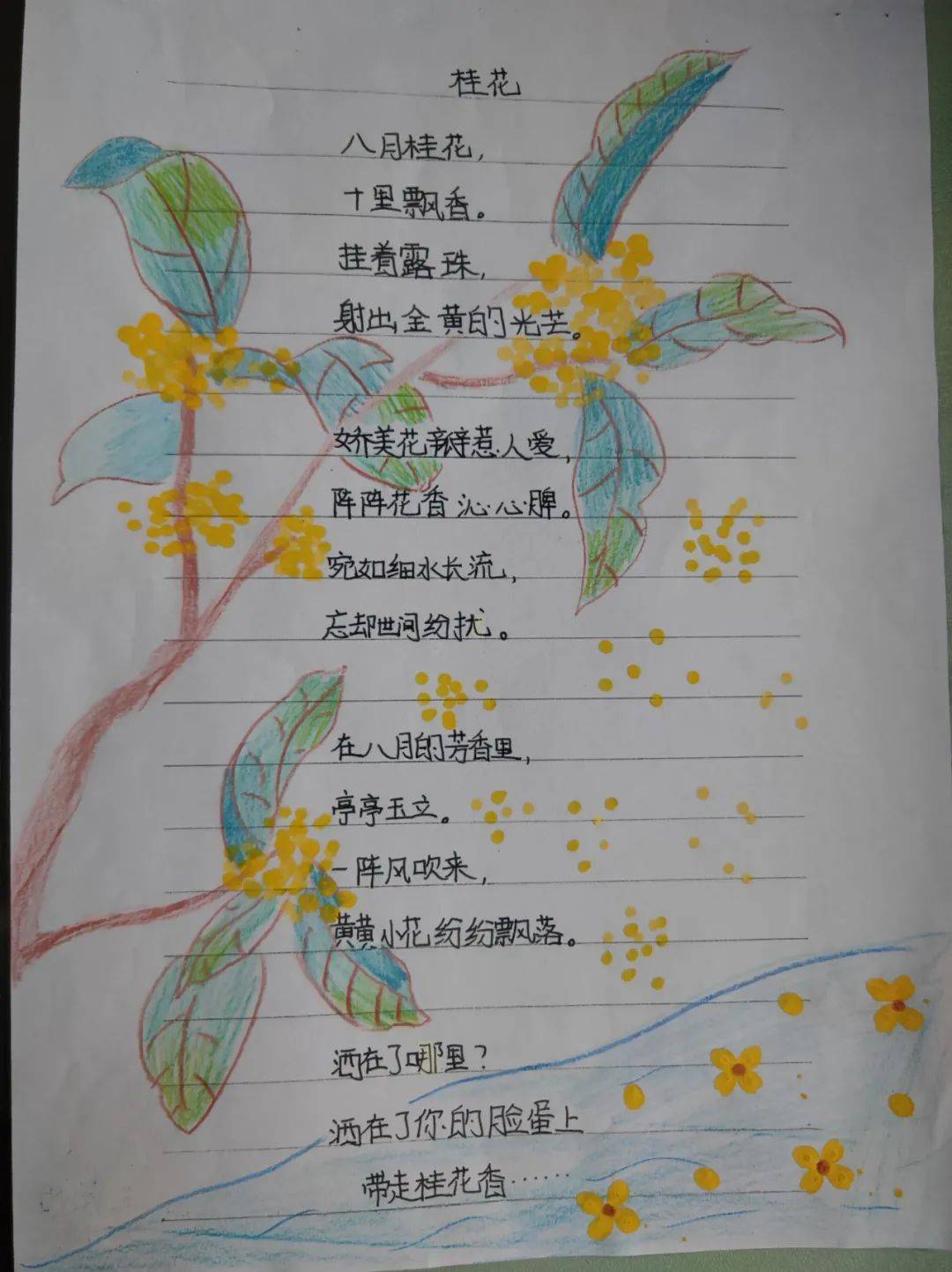 观察桂花树的过程记录四年级(观察桂花树的过程记录四年级上册)