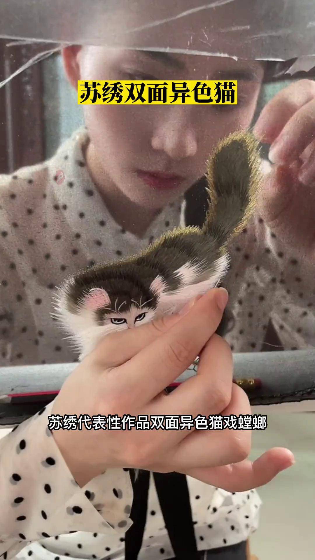 苏绣猫戏螳螂介绍图片