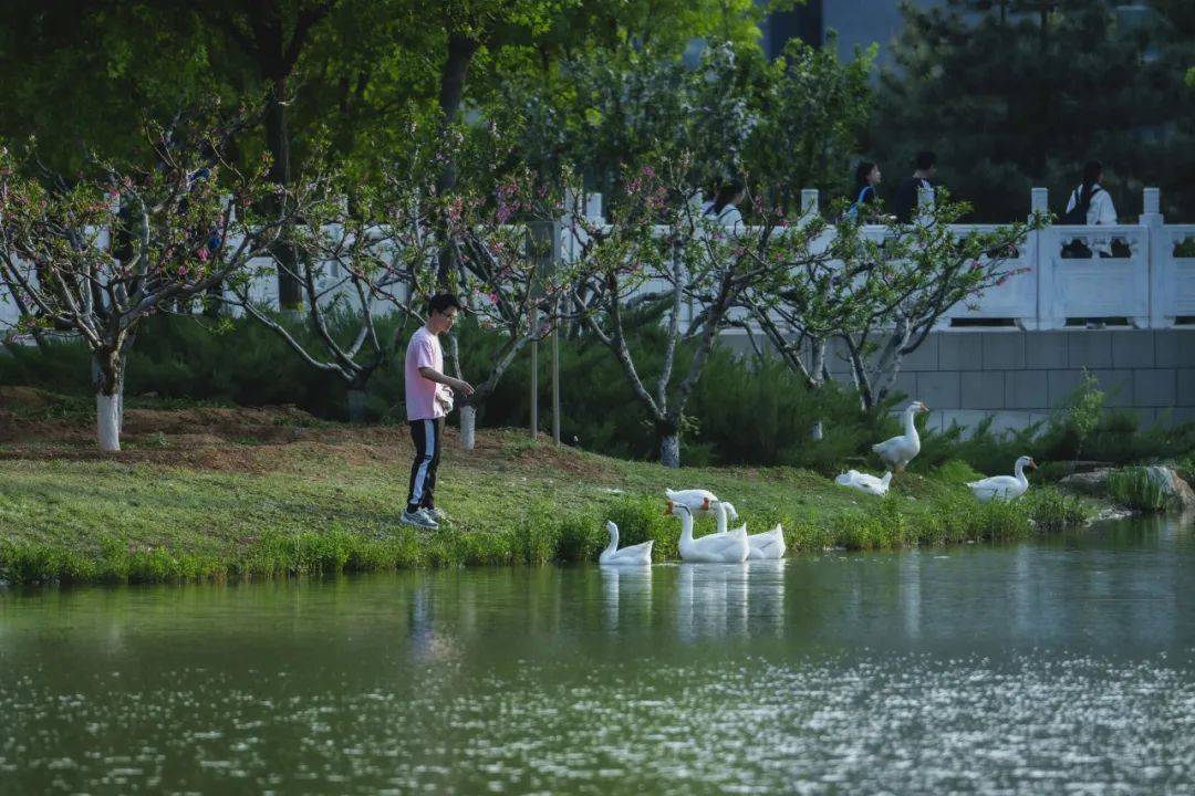 北化"校宠"来袭!