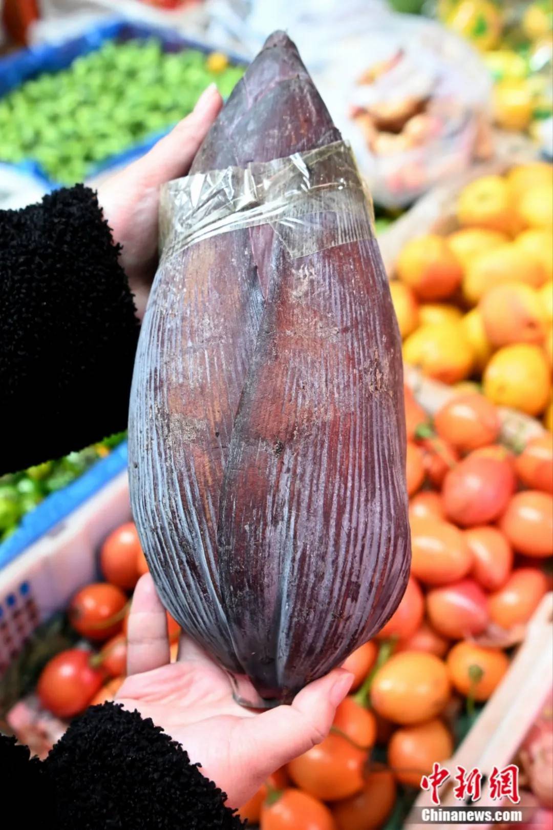 这个旅游日,用最"野"的方式,打开云南人的餐桌!