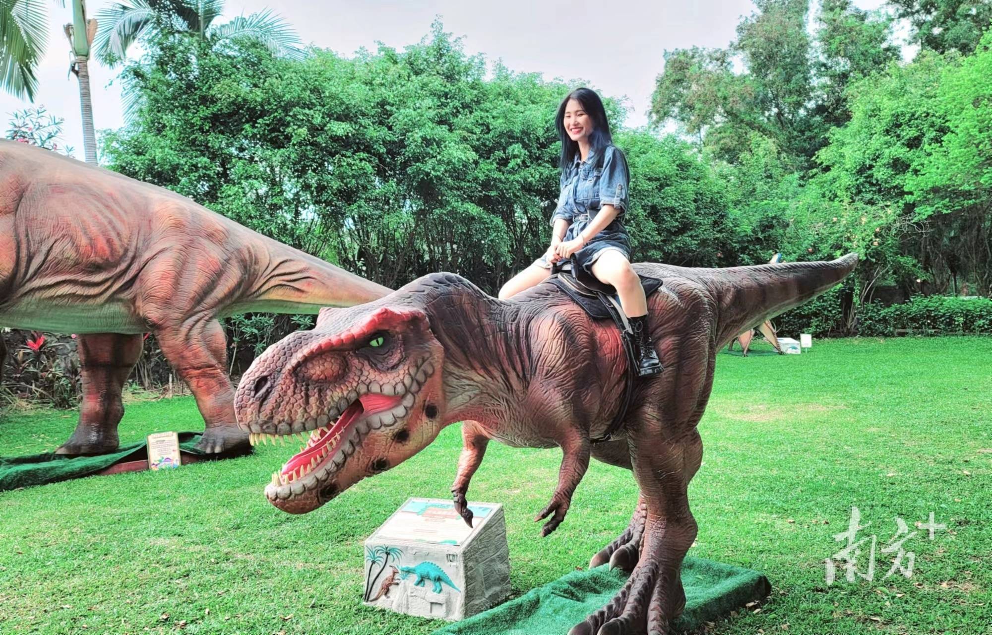 东江评论丨河源应大张旗鼓擦亮"中华恐龙之乡"招牌