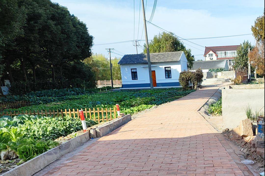 谁说闵行的农村不像农村!到这里去看看吧