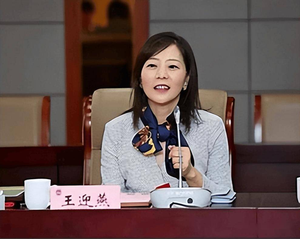 挑战监管:上市公司st美尚的惊人丑闻:造假,嚣张_行为_王迎燕_股价