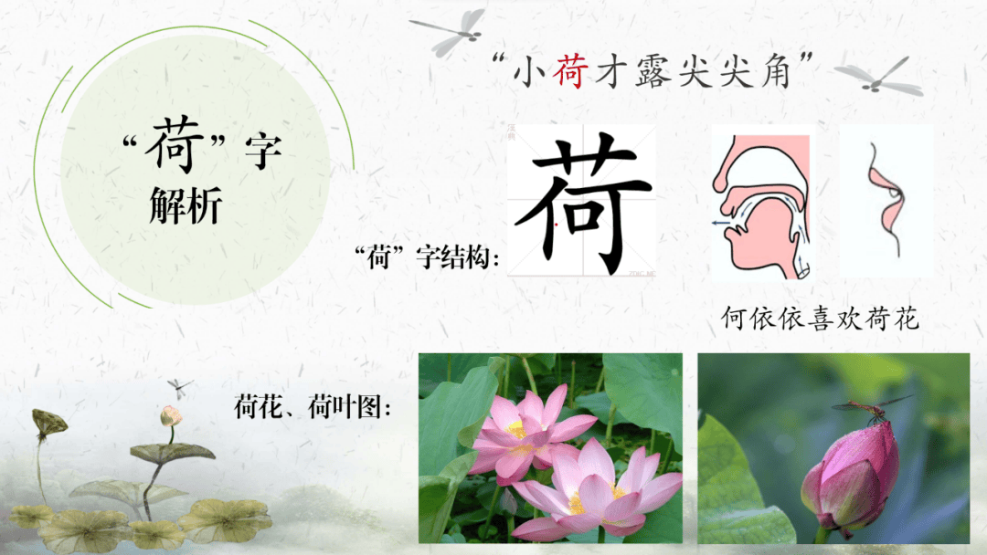 全国金奖!南信大这个"轮椅女孩"了不起