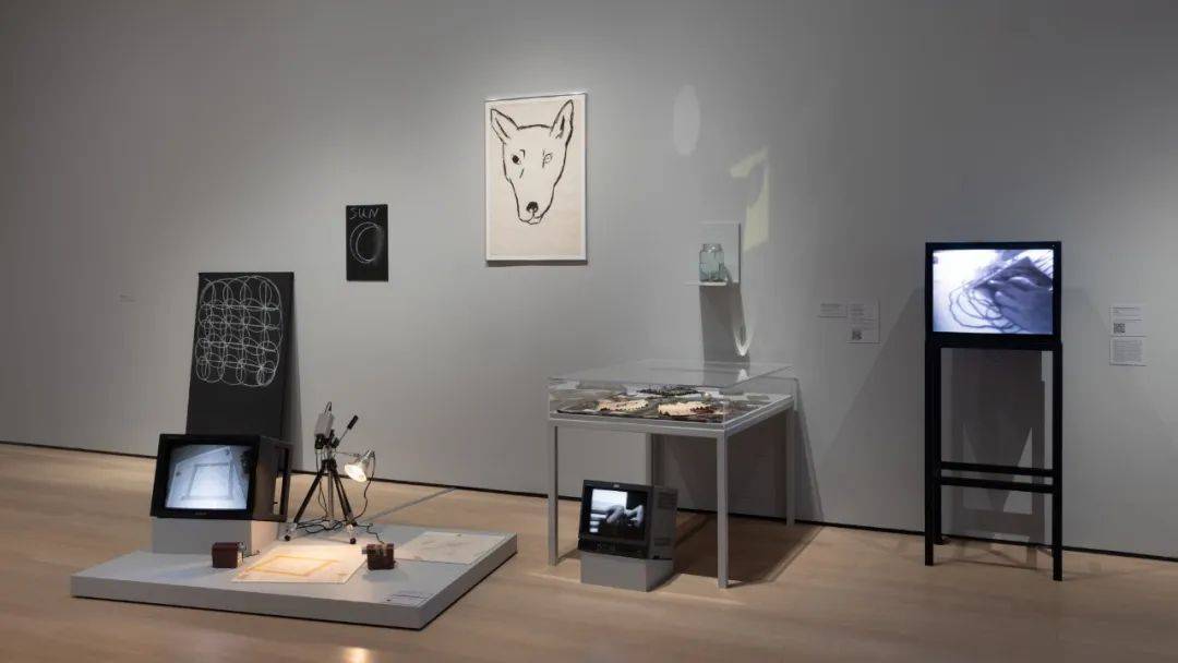 琼·乔纳斯:在变幻的时间中保持对生命的好奇