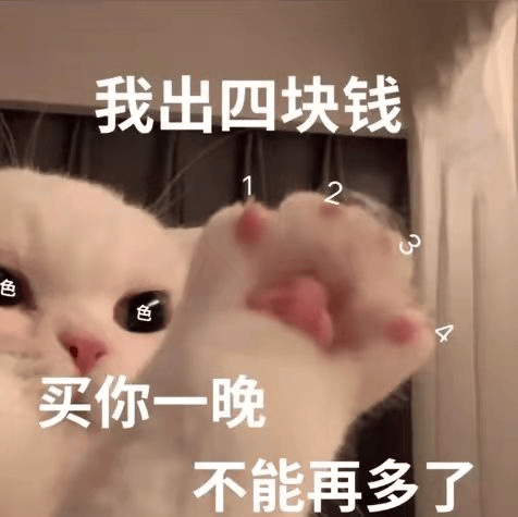 可可爱爱实用的表情包