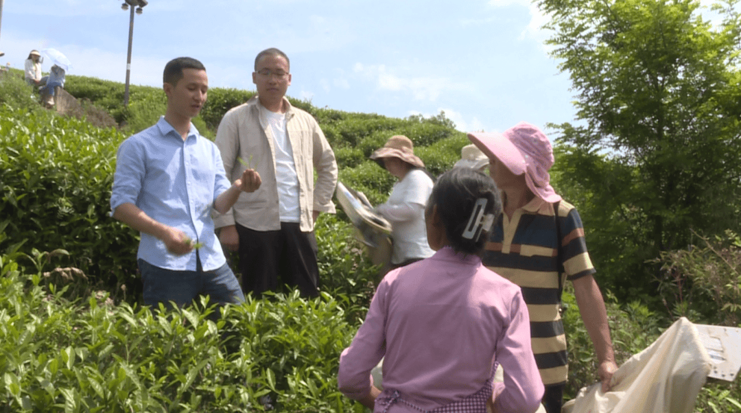 《四川日报》头版关注!全域结对,达州"众筹"帮扶万源