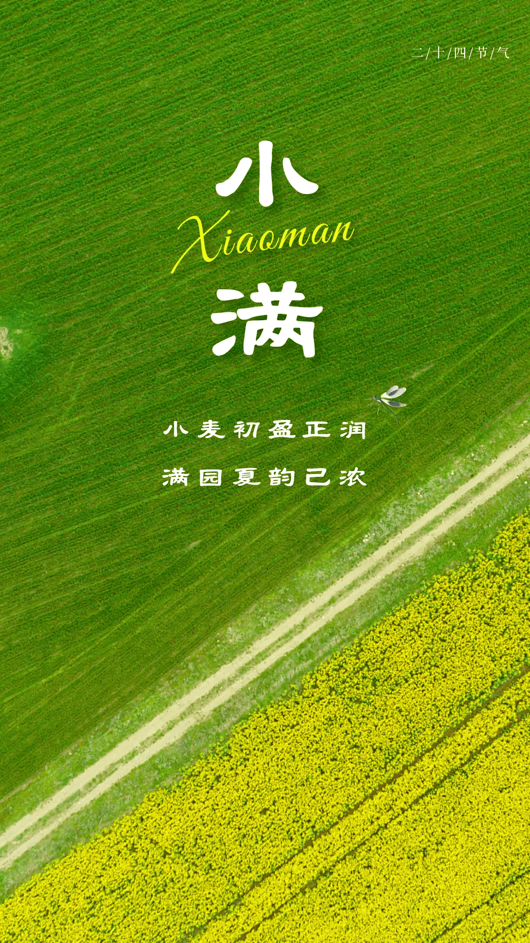小满节气文案海报|小满初盈 静待丰收
