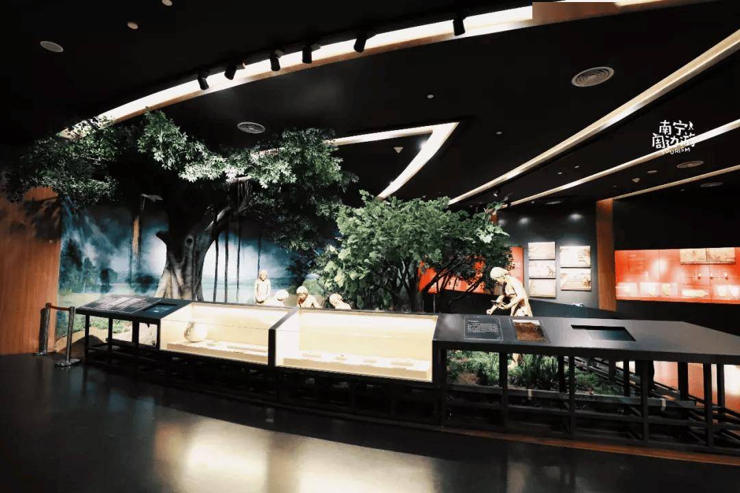 南宁新增一家国家一级博物馆,免费,地铁直达!