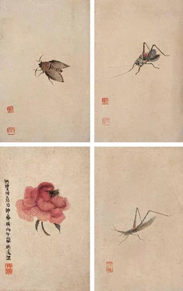 齐白石的"草虫画"_吉祥声_螳螂_纺织娘
