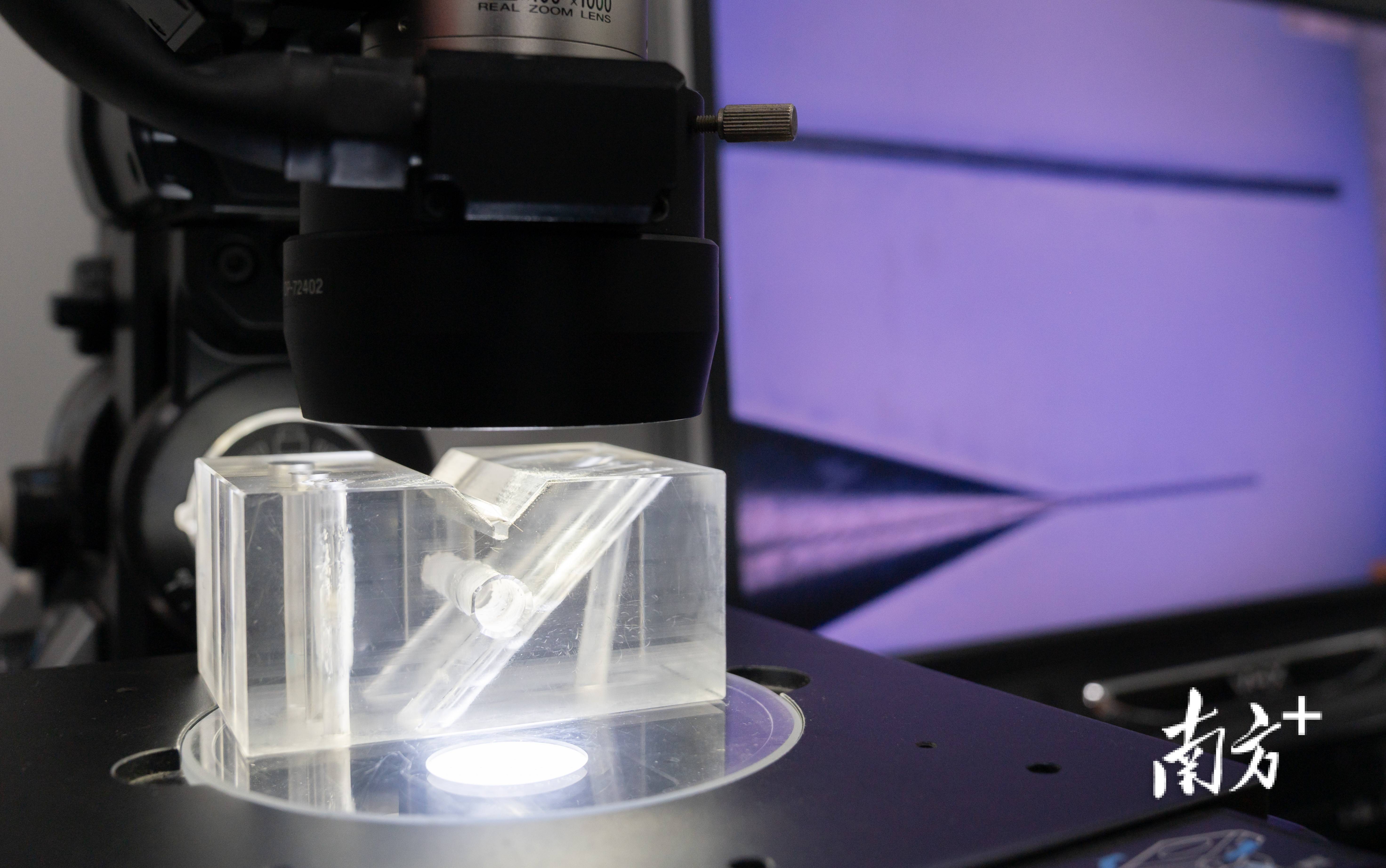 高质量发展调研行_肇庆_广州_钻头