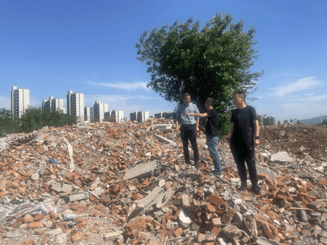 13-5.17)_低塘街道_整治_分类