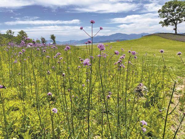 夏天和小满一起来报到 本周气温将直奔30℃以上 雨水增多_天气_小得