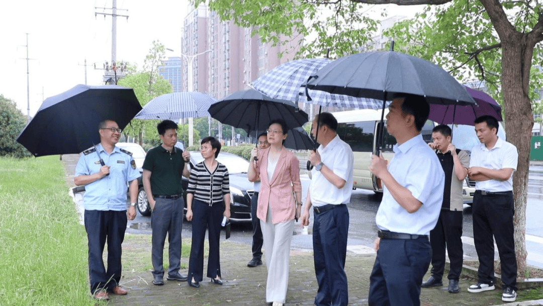 新干县党政主要负责同志研督导生态环境保护工作