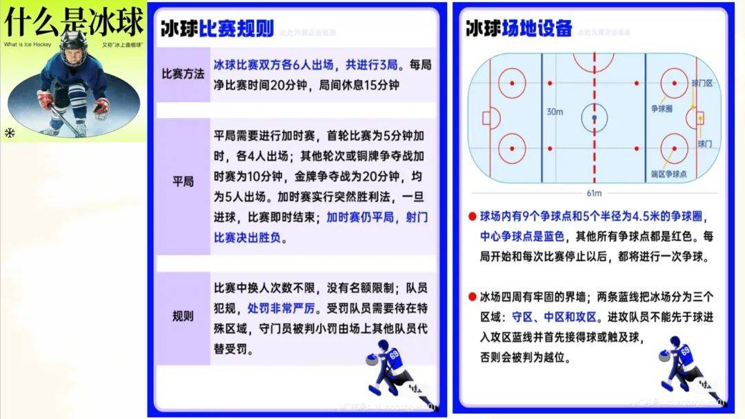 冰球打架规则图片