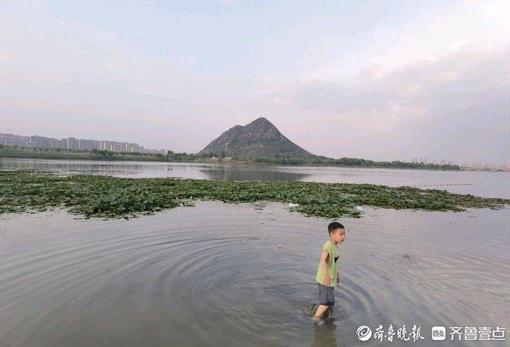 济南华山湖最新消息图片