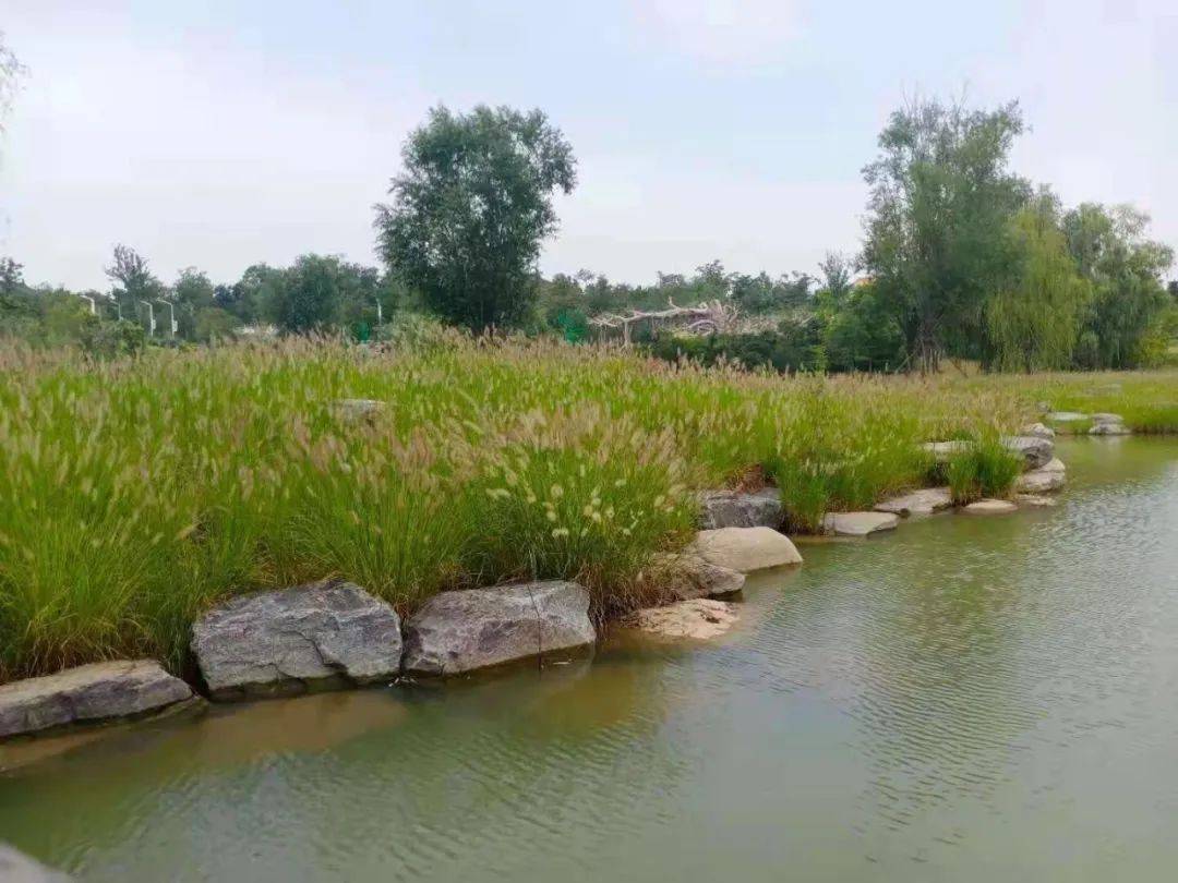 唤醒沉睡的晨读