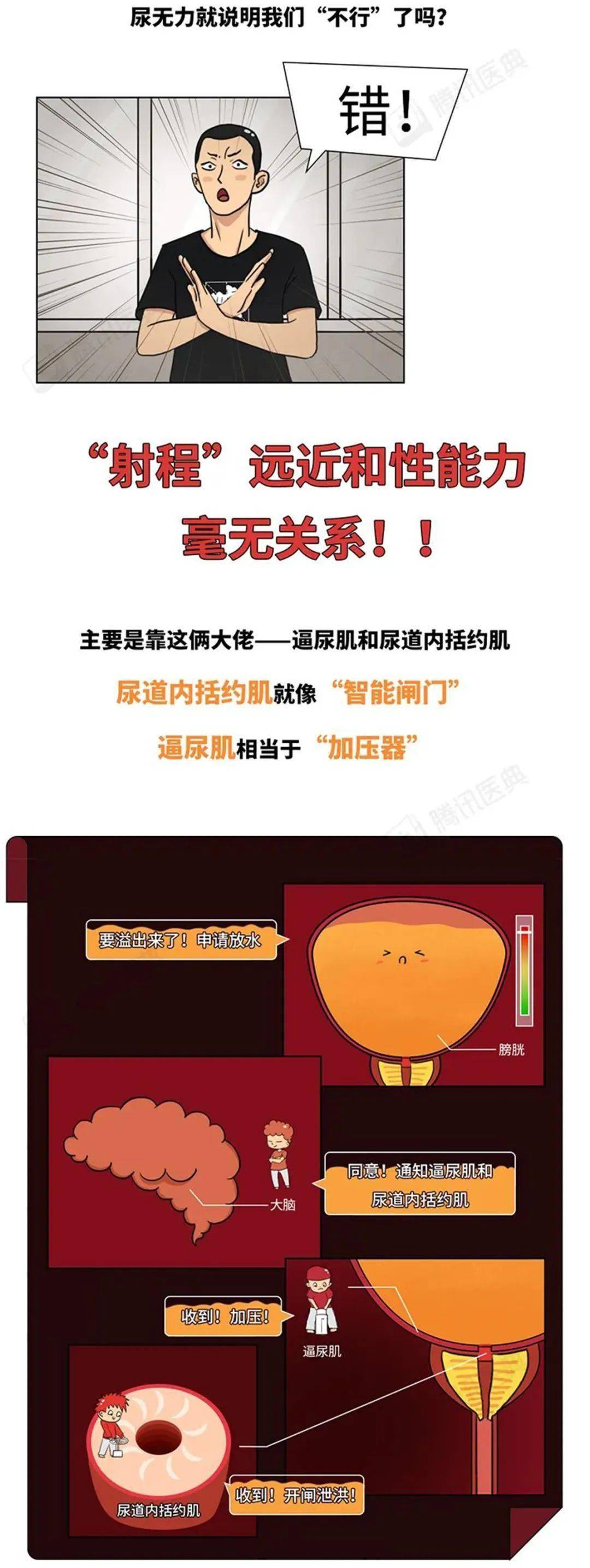 北京東直門中醫院、協助就診號販子掛號電話，掛不上的都找我的簡單介紹