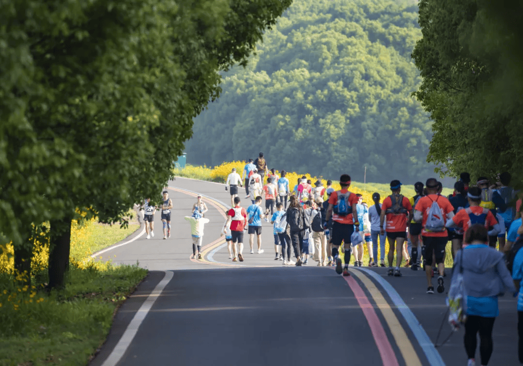 长寿之乡江苏溧阳:这"溧",超"野"!