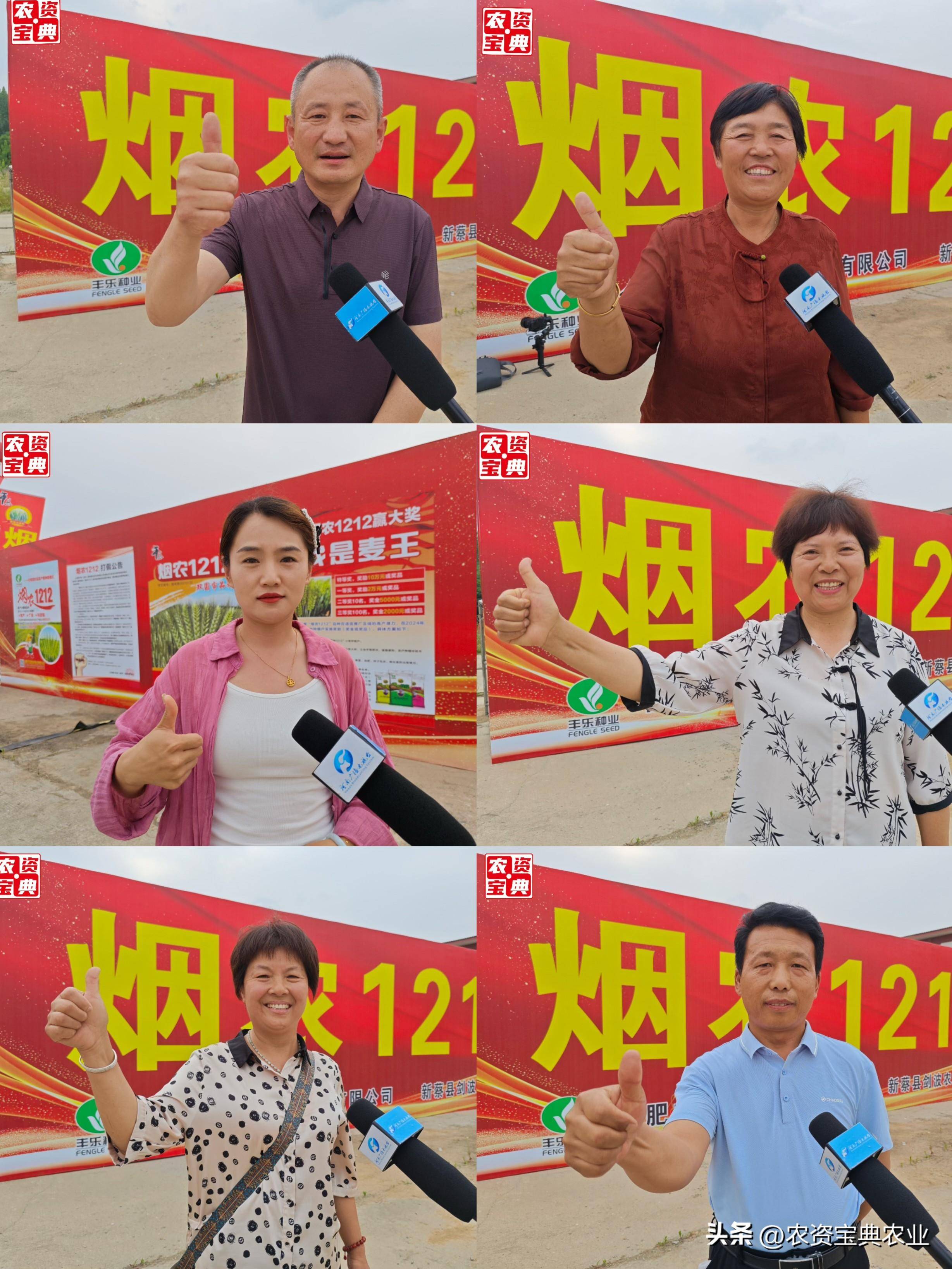 双国审新品种"烟农1212"唱响黄淮大地,谱写发展新篇章!