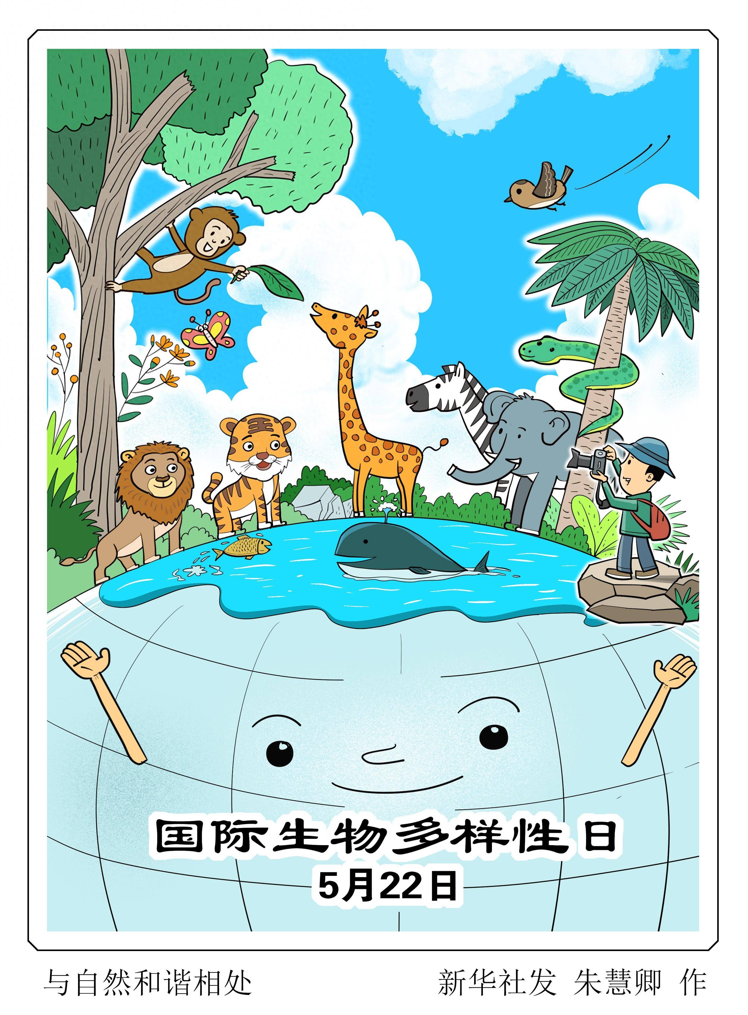 图表·漫画 国际生物多样性日