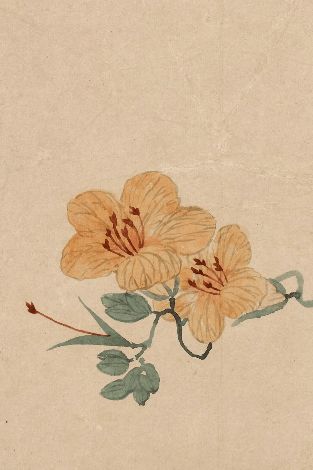 这小写意花鸟册,太美了