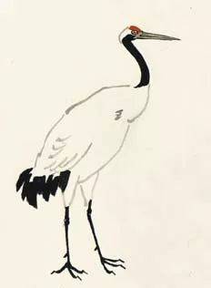 用朱砂调胭脂点肉冠,用藤黄加少许赭石点鹤眼,喙色用赭石调花青直接勾