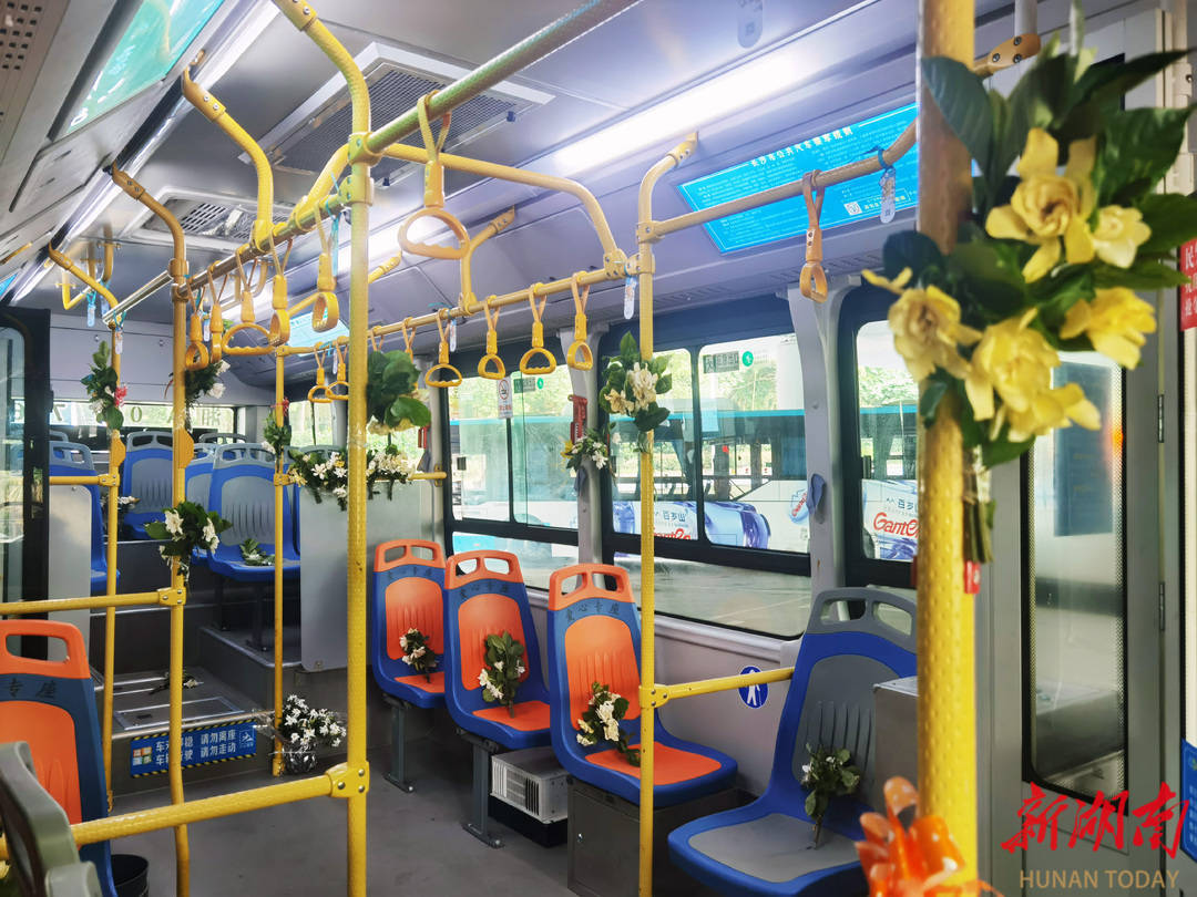 太浪漫啦！长沙公交车满载栀子花送乘客