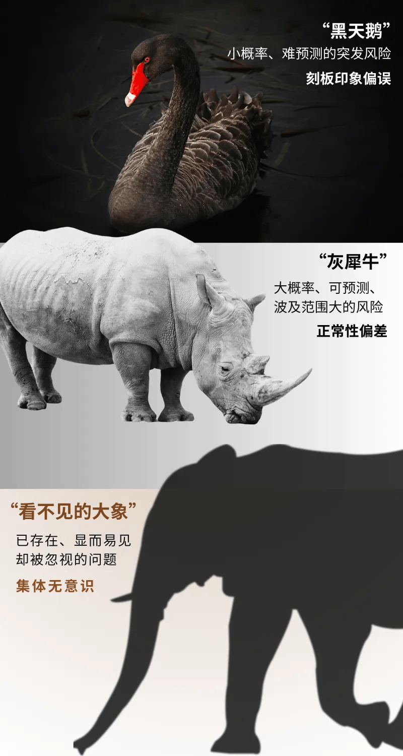 警惕"黑天鹅",防备"灰犀牛",驯服"看不见的大象"
