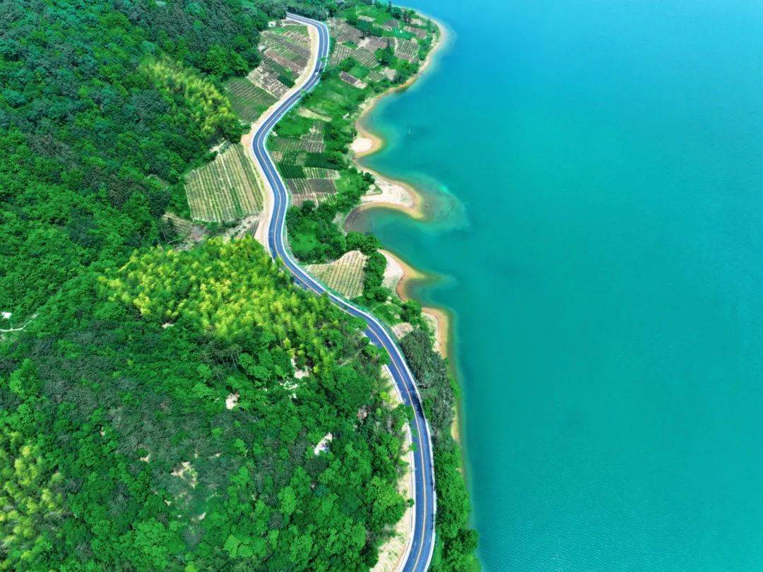74km虽然里程不长,却胜在风景动人公路紧挨着虎洞水库一面是山的葱茏