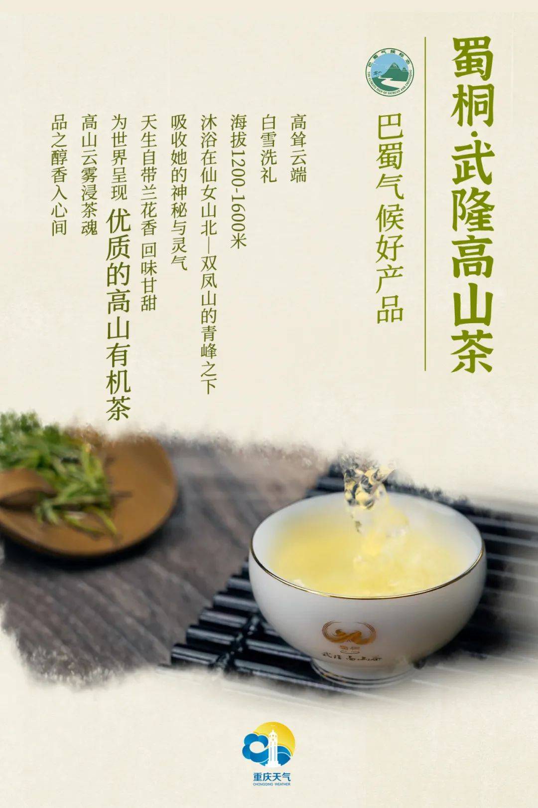 成渝双城记 | 优质气候助力 与世界共享川渝茶香