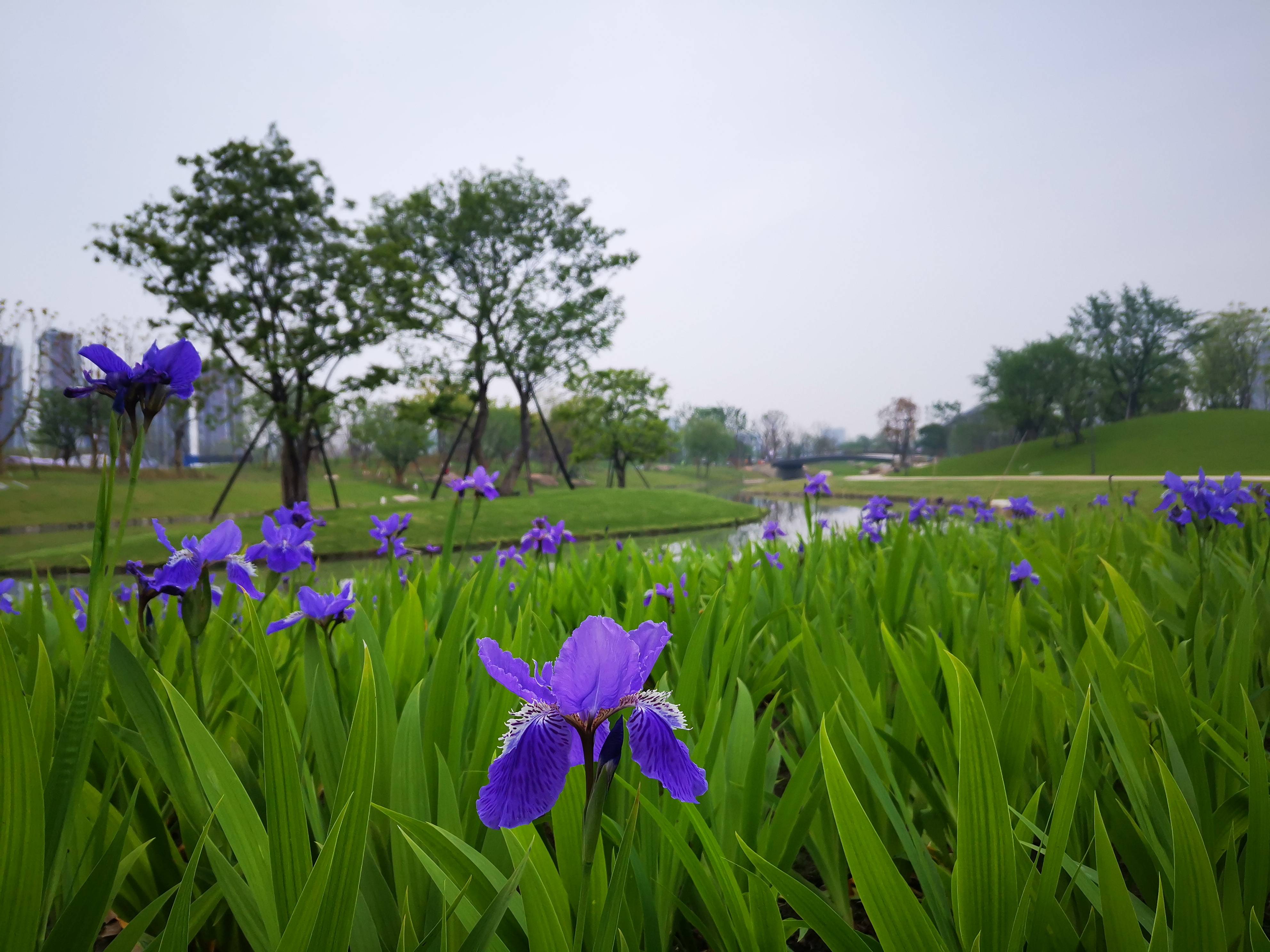 新华每日电讯:新澳今晚开什么号码-城市：驿观察｜怀敬畏之心 护城市根脉  第1张