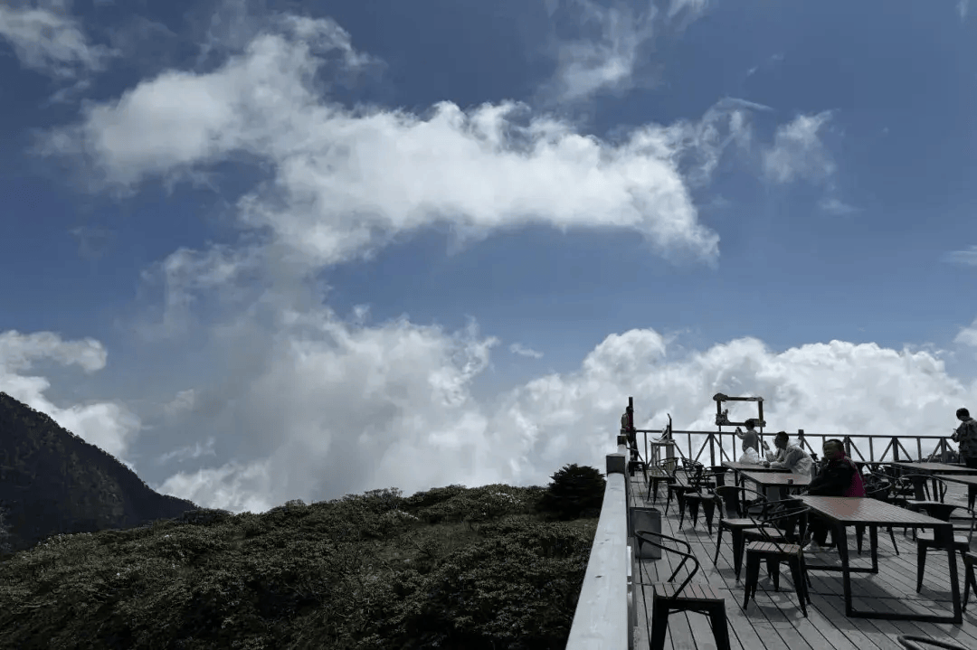 大理苍山洗马潭杜鹃花海"上新"