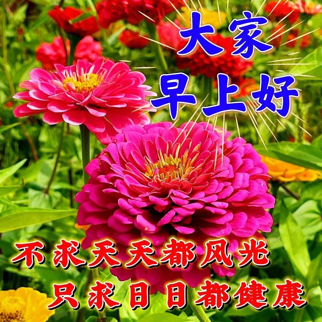 今日最新早上好图片大全,清晨问候如见面;祝福简单情无限