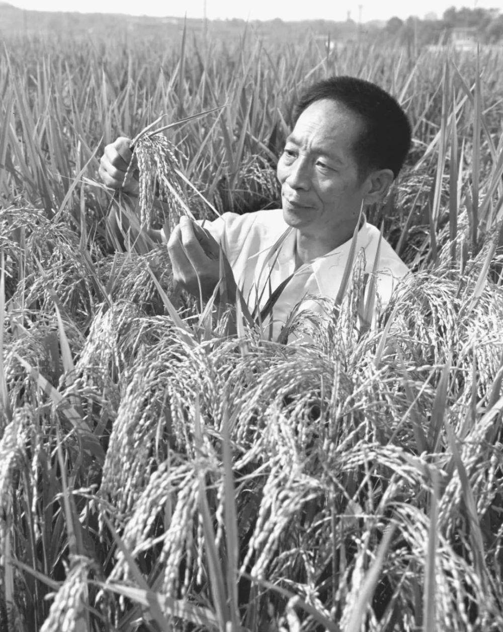 袁老,吴老,又想你们了