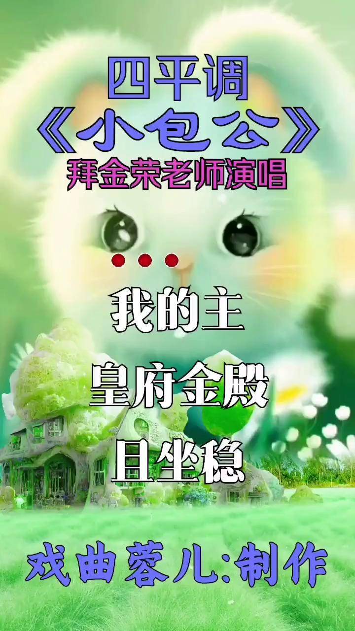 拜金荣小包公全集图片