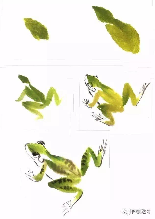 写意青蛙的各种画法