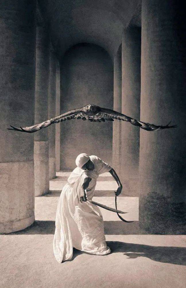 凭一张照片震撼了1000w人:为热爱而死,是一种恩赐_格雷戈里_大象_孩童