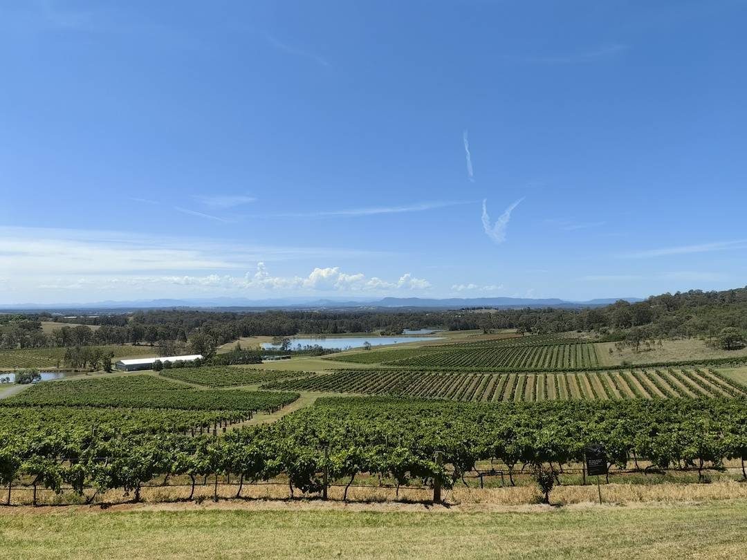 澳大利亚葡萄酒回来了,不仅产品陆续出现在货架上,系列产区推荐会也