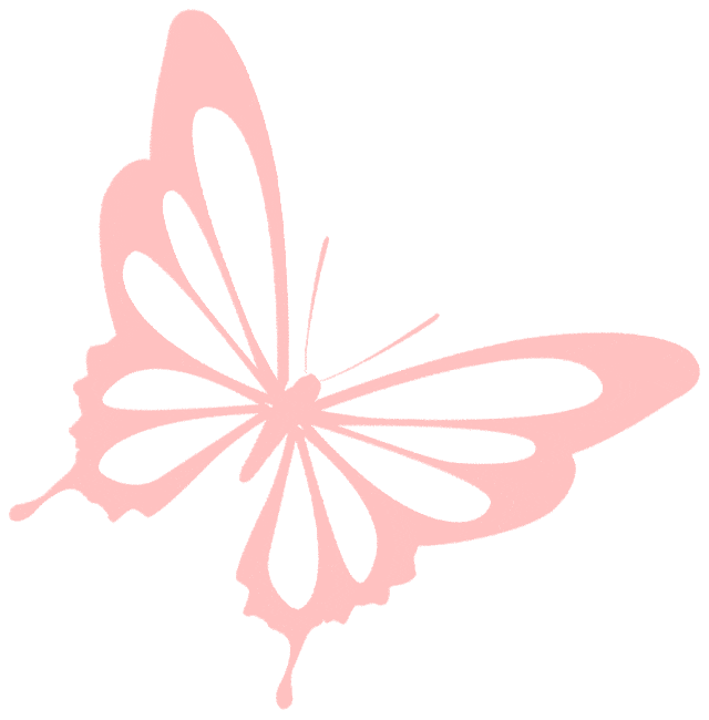 最美家风润万家//家风故事宣讲福建接力