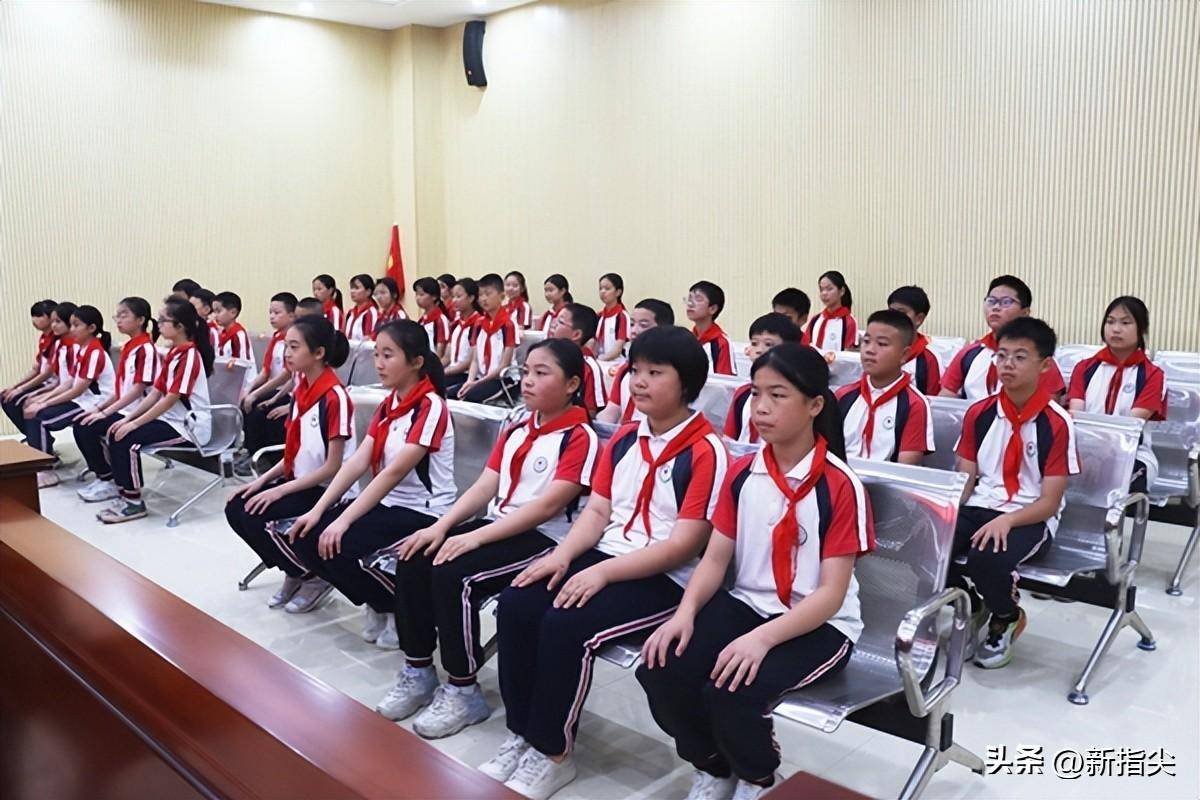 安乡:小学生做客法院,开启沉浸式学法之旅