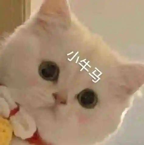 表情包管饱.嗝.