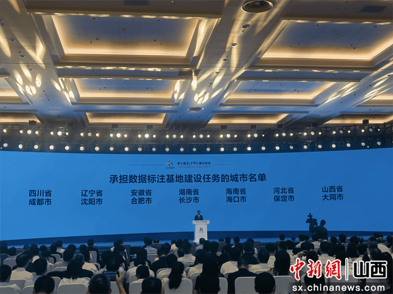 大同市委宣传部 提供在今年4月1日召开的首次全国数据工作会议上,国家