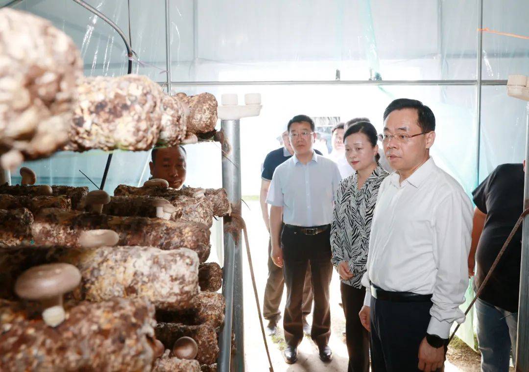 现场观摩学经验 乡村振兴共发展——2024年5月全县