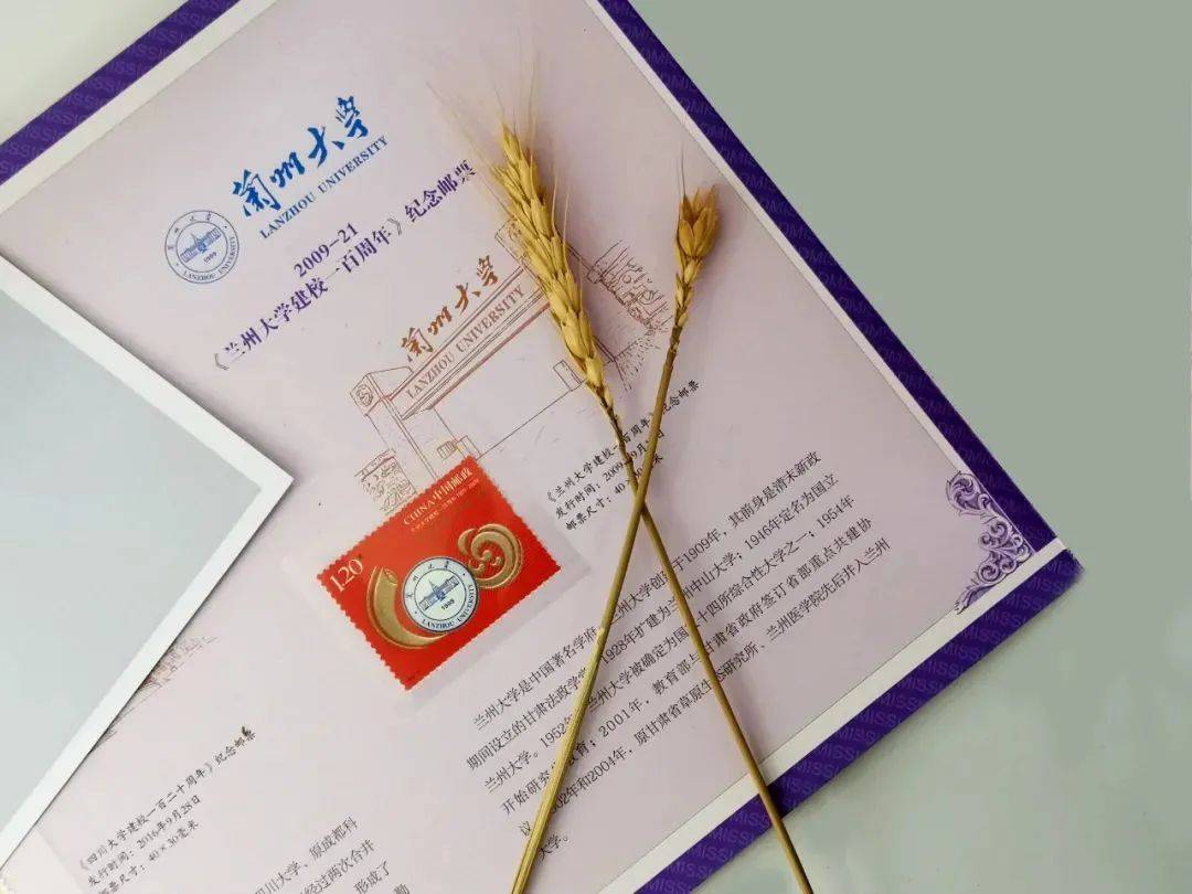 它的邮票背景图案选用了红色,庆祝意味十足,特别适合送给广大中,高考