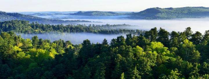 黑龙江伊春:奋力谱写新时代新征程"林区三问"崭新答卷